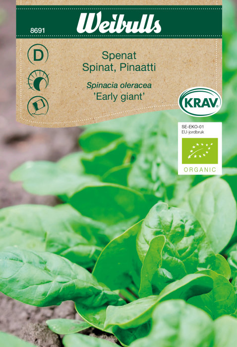 Spinat ´Early giant` økologisk 